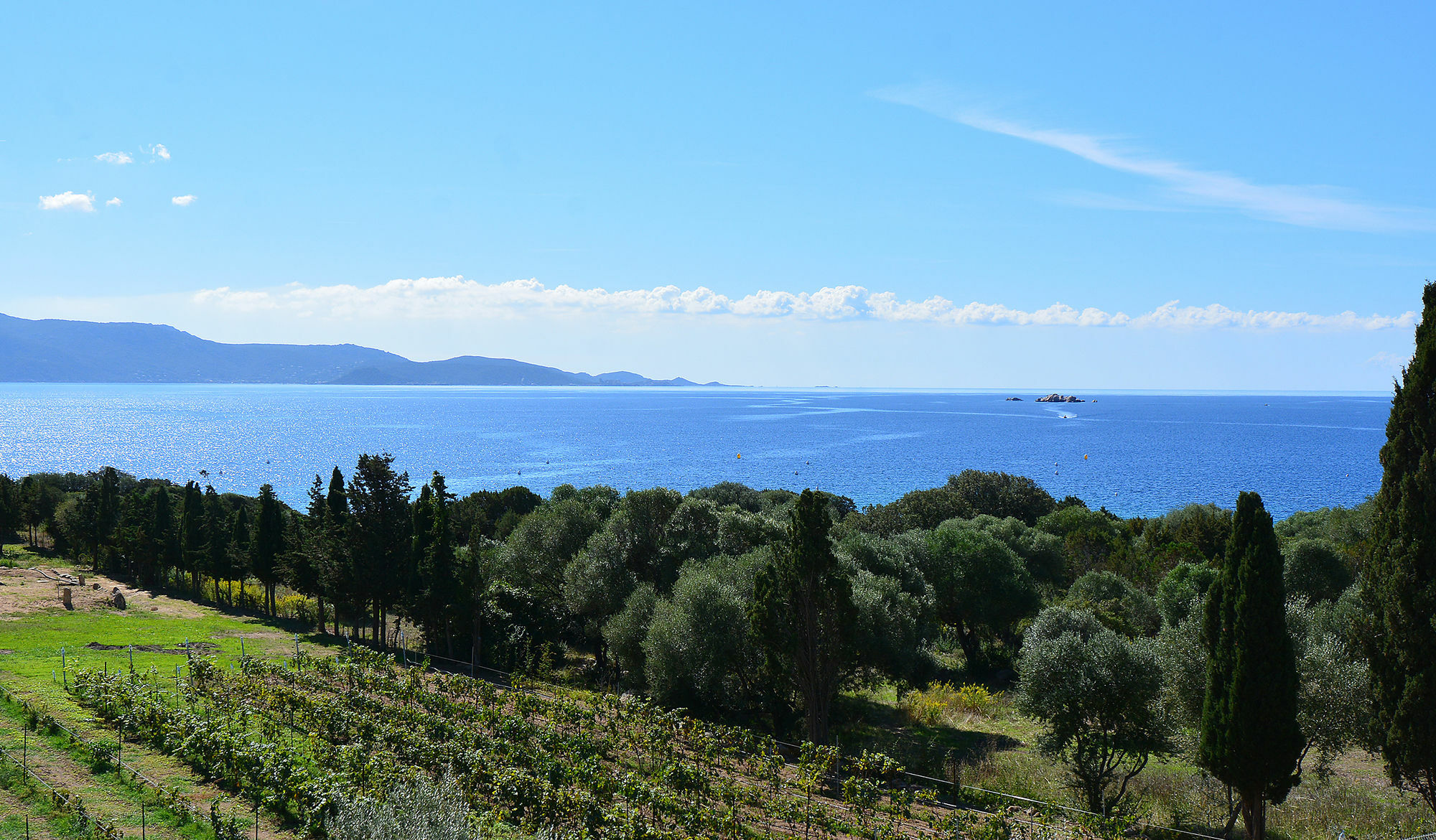 Les Terrasses Du Grand Large Apart otel Porto Pollo Dış mekan fotoğraf